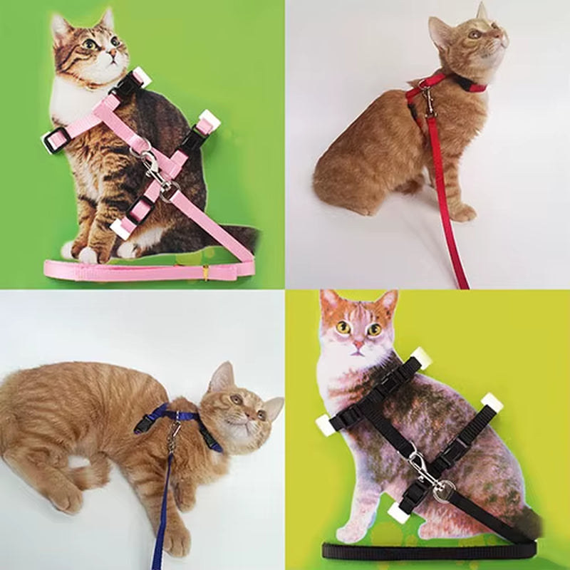 Adjustable Nylon Cat Puppy Pet Harness Collar Lead Leash Traction Safety Rope